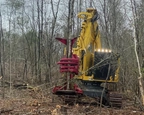 Tracked Feller Buncher working in forest